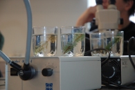 Kunst im &Ouml;ffentlichen Raum